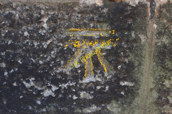 Photo 6"x4" Cut Bench Mark (close-up) Harrogate c2010