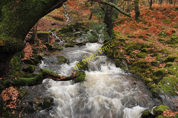 Photo 6"x4" Allt Beag, Bracorina Bracorina c2010
