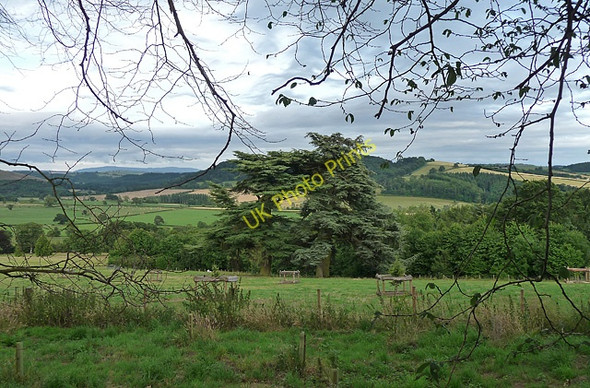 Photo 6"x4" Parkland near Totterton Lydbury North c2010