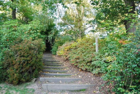 Photo 6"x4" Steps, the LOOP, Heathfield Estate Croydon\/TQ3365 c2010