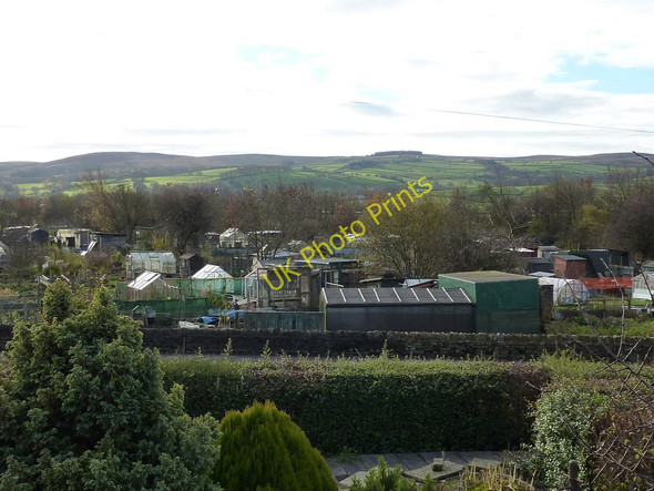 Photo 6"x4" Allotments at Skipton Skipton c2010