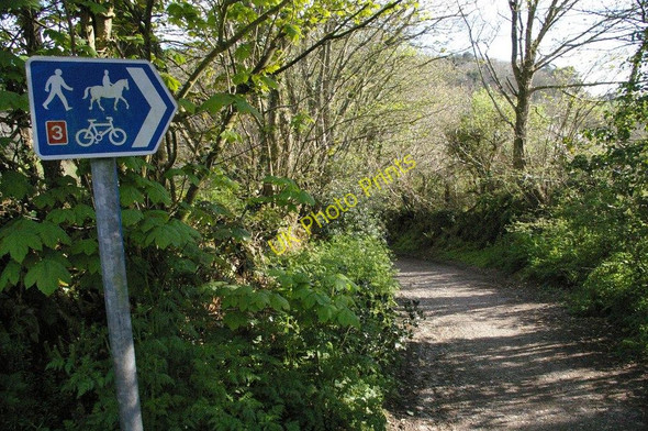 Photo 6"x4" National Cycle Route 3 Cowlands c2009