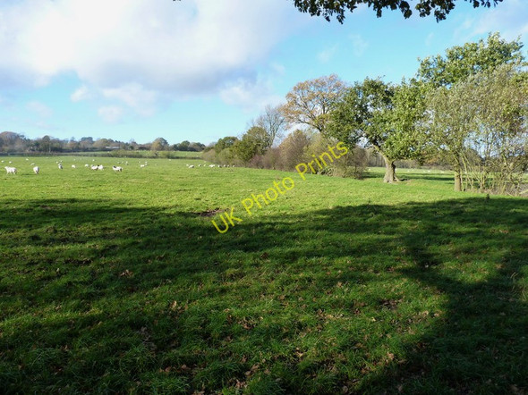 Photo 6"x4" Old hedgeline at Kenley Common Church Preen c2010