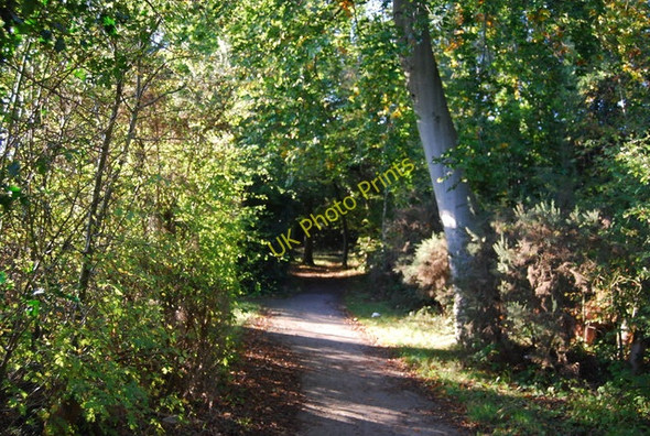 Photo 6"x4" LOOP, Addington Hills Croydon\/TQ3365 c2010