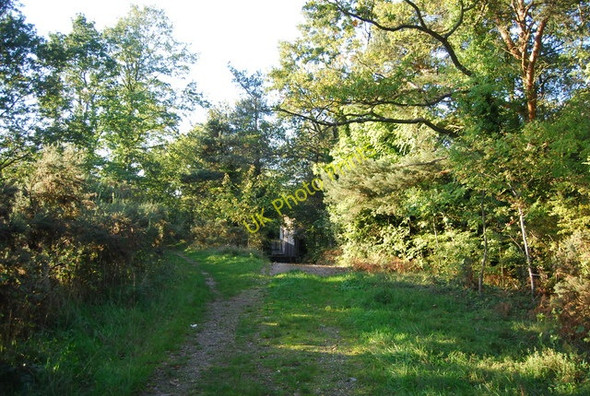 Photo 6"x4" Footpath, Addington Hills Croydon\/TQ3365 c2010