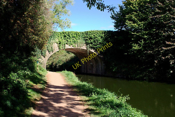 Photo 6"x4" Tidcombe Bridge Tiverton\/SS9512 c2010