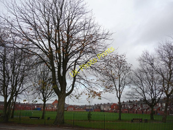 Photo 6"x4" Trees in the school grounds Heywood\/SD8510 c2010