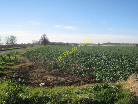 Photo 6"x4" Looking towards Low Risby Low Risby c2010