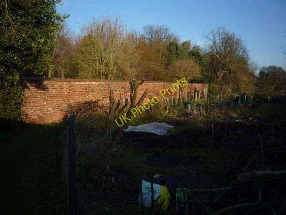 Photo 6"x4" Allotments near Walmgate Stray York\/SE5951 c2010