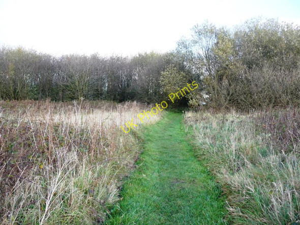 Photo 6"x4" Informal but well-used footpath Warrington\/SJ6088 c2010