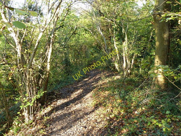 Photo 6"x4" Path along top of Bramber Castle rampart Bramber c2010