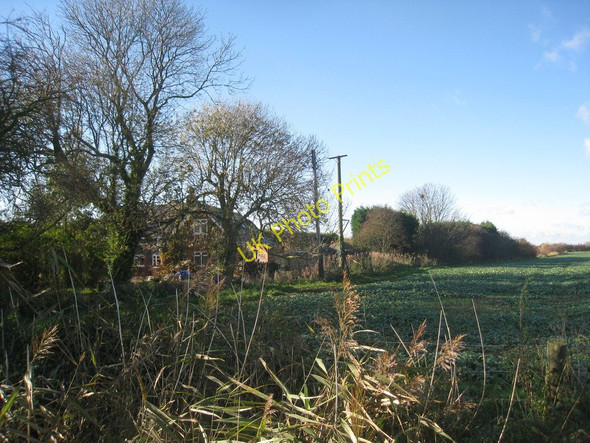 Photo 6"x4" Ash Tree Farm Mill Hill\/TF5365 c2010