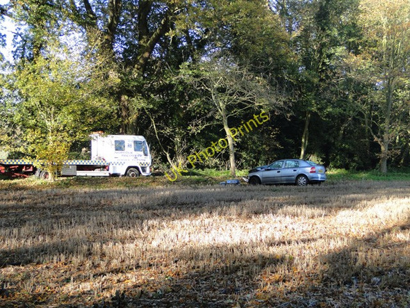 Photo 6"x4" The result of an unexpected frost Bramerton c2010