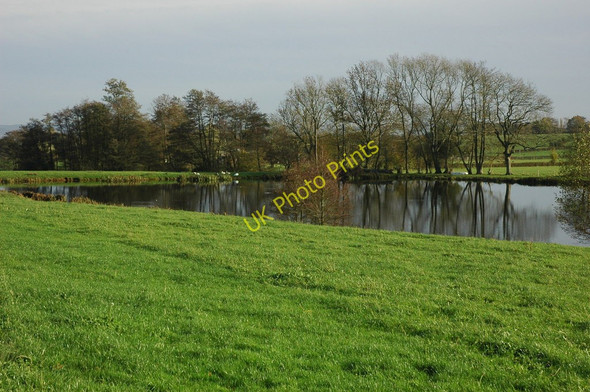 Photo 6"x4" Pool in a field, near Flaxley Flaxley c2010