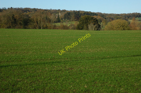 Photo 6"x4" View to Blaisdon Hall Blaisdon c2010