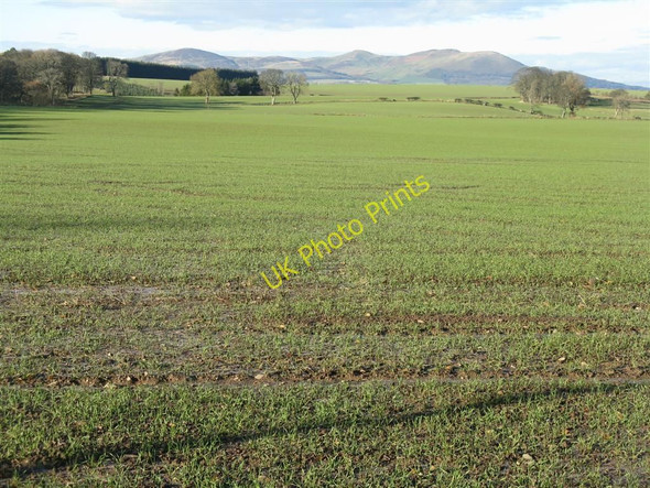 Photo 6"x4" A long view from near Carrington Carrington\/NT3160 c2010