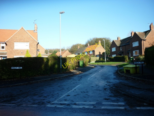 Photo 6"x4" Holly Hill, Welton Welton\/SE9627 c2010
