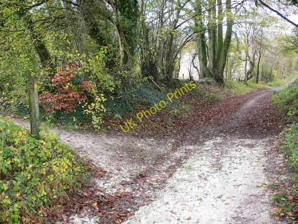 Photo 6"x4" South Downs Way on Main Down looking west South Harting c2010