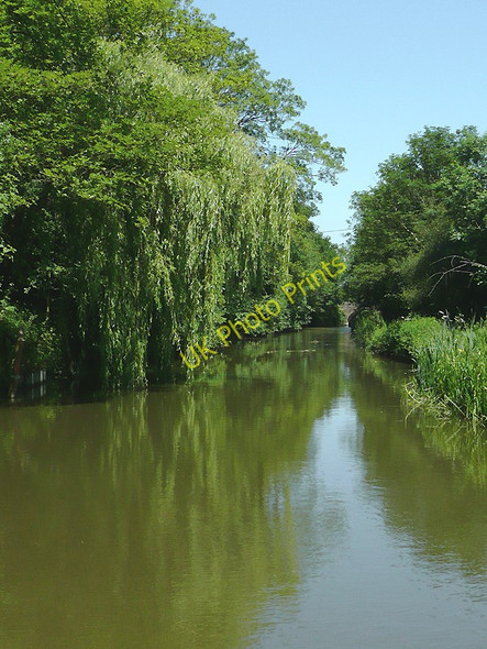 Photo 6"x4" The Ashby Canal at Snarestone Snarestone c2010