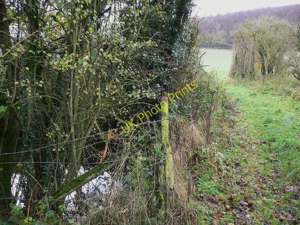 Photo 6"x4" Pond by footpath on Round Down South Harting c2010