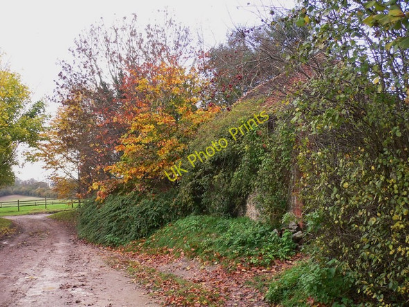 Photo 6"x4" Outbuilding at Eckensfield Compton\/SU7714 c2010