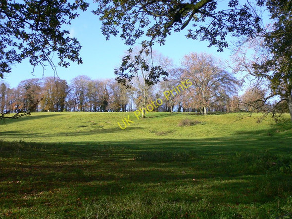 Photo 6"x4" Compton Down Compton\/SU7714 c2010