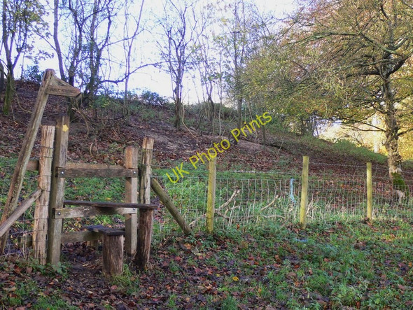 Photo 6"x4" Stile near Compton Compton\/SU7714 c2010
