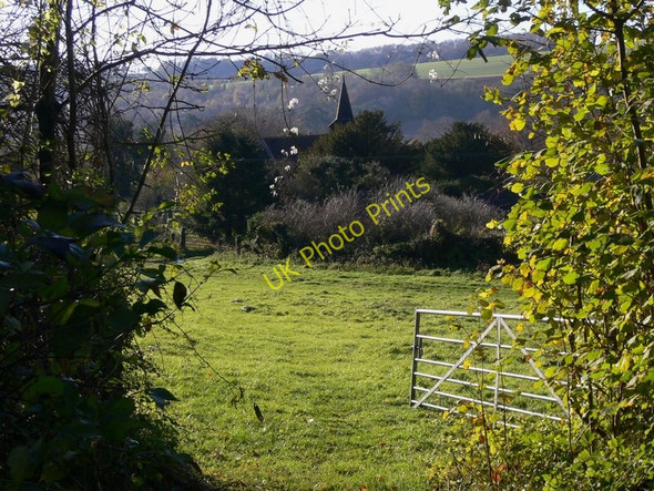 Photo 6"x4" Compton church spire seen from bridleway Compton\/SU7714 c2010