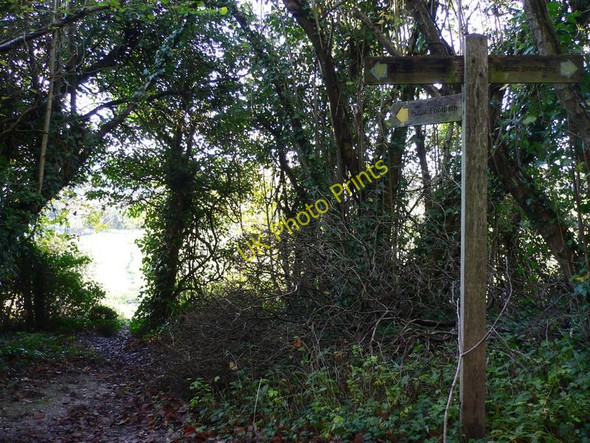 Photo 6"x4" Junction near Compton Compton\/SU7714 c2010