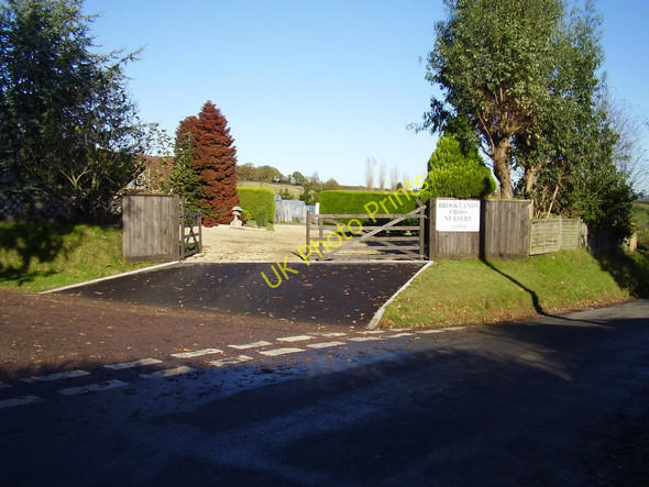 Photo 6"x4" Brooklands Cross Nursery Harpford c2010