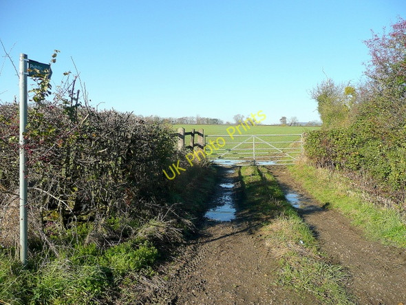 Photo 6"x4" Footpath to White House Farm Chaxhill c2010