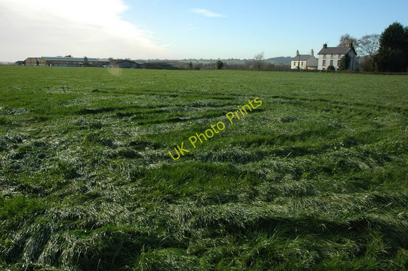 Photo 6"x4" Farmland at Awre Awre c2010