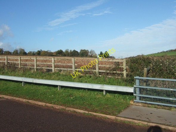 Photo 6"x4" Field near Little Silver Kennford c2010