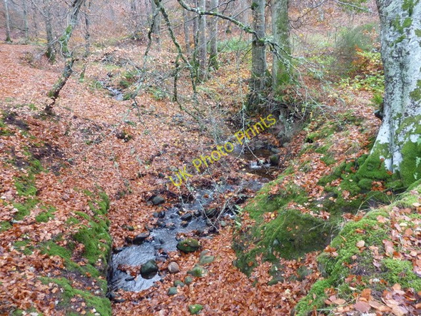 Photo 6"x4" Small tributary to Belladrum Burn Camault Muir c2010