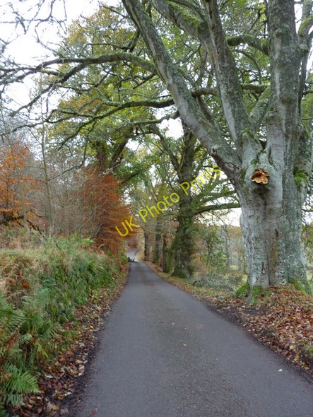 Photo 6"x4" Minor road near Camault Muir Camault Muir c2010