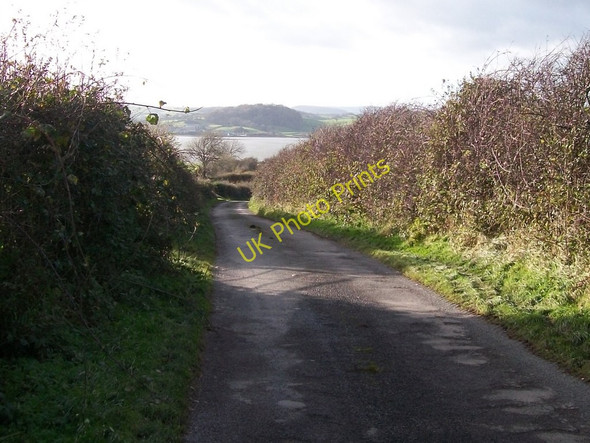Photo 6"x4" The Carrickinab Road descending between hedgerows towards the shores of Dundrum Inner Bay Dundrum\/J4036 c2010