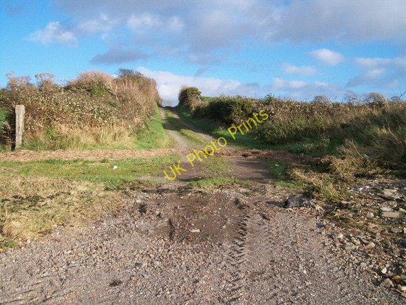 Photo 6"x4" The Carrickinab Road from the waters' edge Dundrum\/J4036 c2010