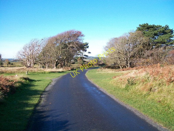 Photo 6"x4" The Grand Drive leading from Murlough House Dundrum\/J4036 c2010