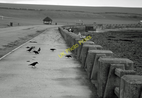 Photo 6"x4" Victoria Park Promenade, Arbroath Arbroath c2010