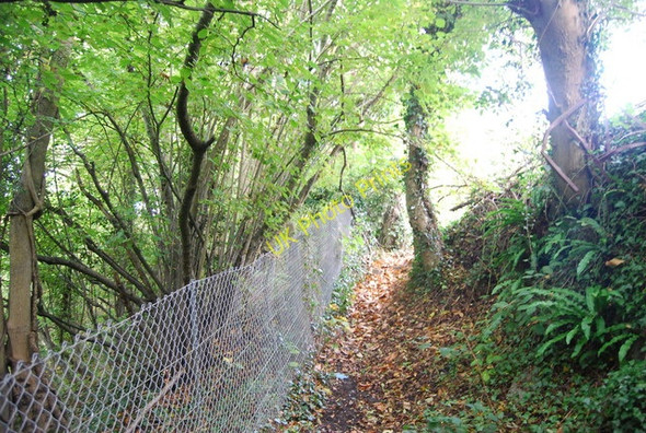 Photo 6"x4" Sussex Border Path Durgates c2010