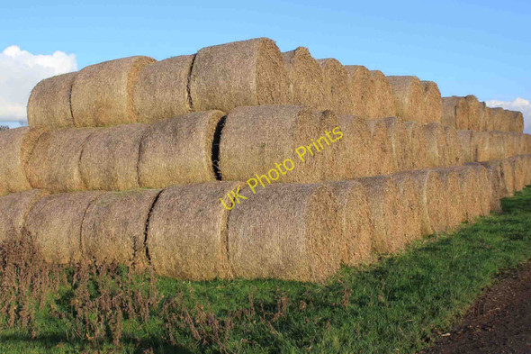 Photo 6"x4" Hay bales near Dairy Farm Knightcote c2010