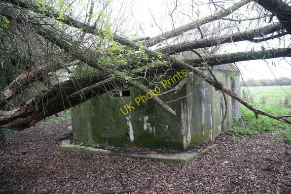 Photo 6"x4" Branches in the way Calcot\/SU6671 c2010