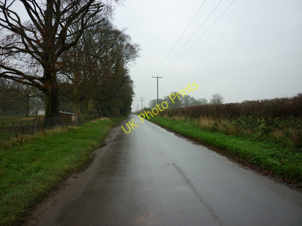 Photo 6"x4" Oak Tree Way, Brandesburton Brandesburton c2010