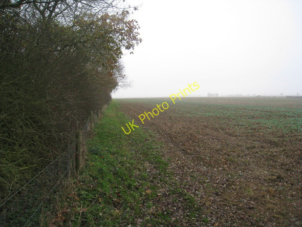 Photo 6"x4" Alongside the wood Spridlington c2010