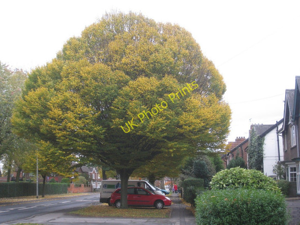 Photo 6"x4" Ferry Road Scunthorpe c2010