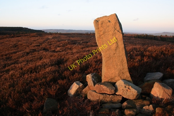 Photo 6"x4" Stone Boundary Stone, Great Ayton Moor Hutton Village c2008