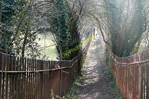 Photo 6"x4" Down to Harpsden Henley-on-Thames c2010