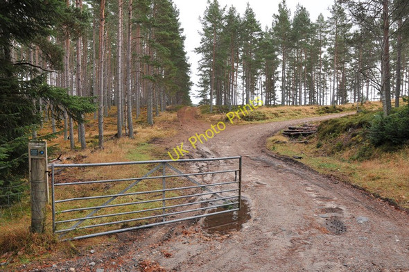Photo 6"x4" Forestry road in Glentruim Forest Etteridge c2010