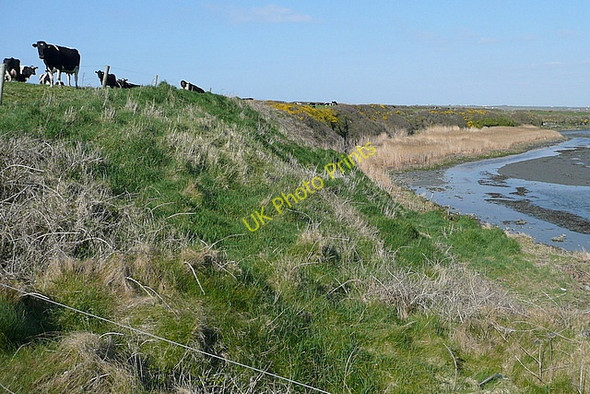 Photo 6"x4" Coast at Cloghaunbeg Kilbaha c2010