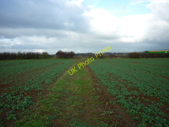 Photo 6"x4" A footpath towards Carr Lane Brigg c2010